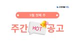 9월 첫째 주 핫 공고 - HD현대인프라코어, 대상주식회사, 연세대학교 연세유업